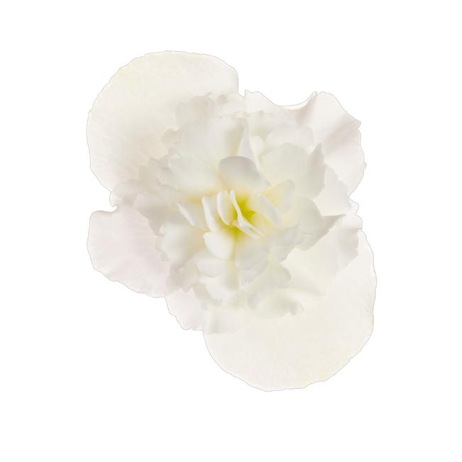 img1