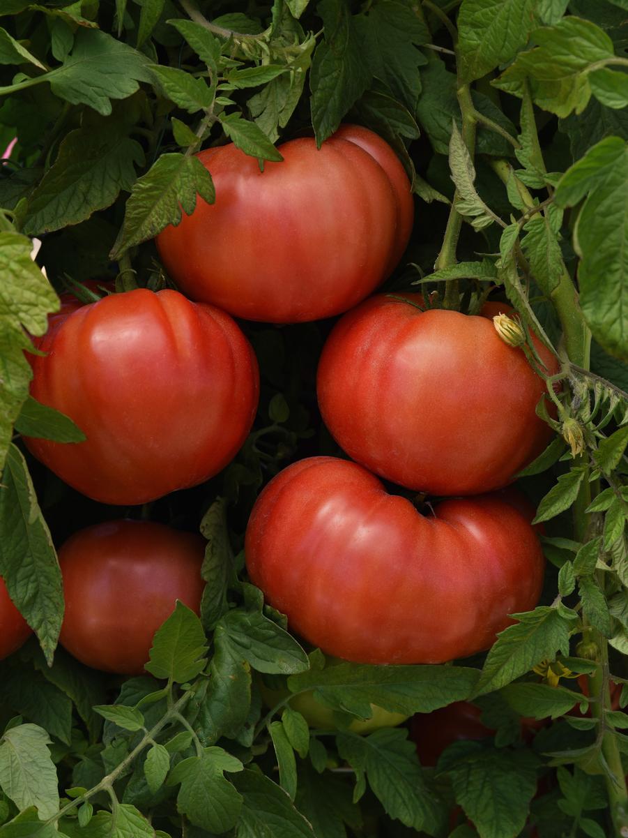img1