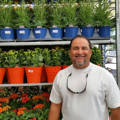 Adolfo Salazar