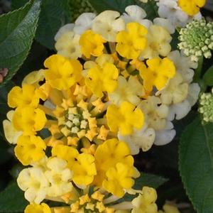 img1